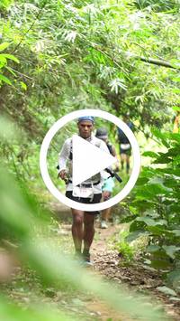 BIB:  <button type="button" onclick="openModal(26823319)" class="btn btn-primary btn-sm float-right" data-toggle="modal" data-target=".modal-high-quality">
                <i class="fa fa-download"></i> Download
                </button>